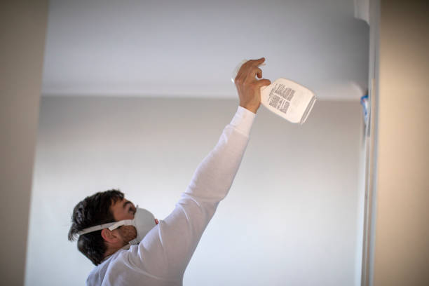 Best Fast Mold Removal  in Saddle River, NJ